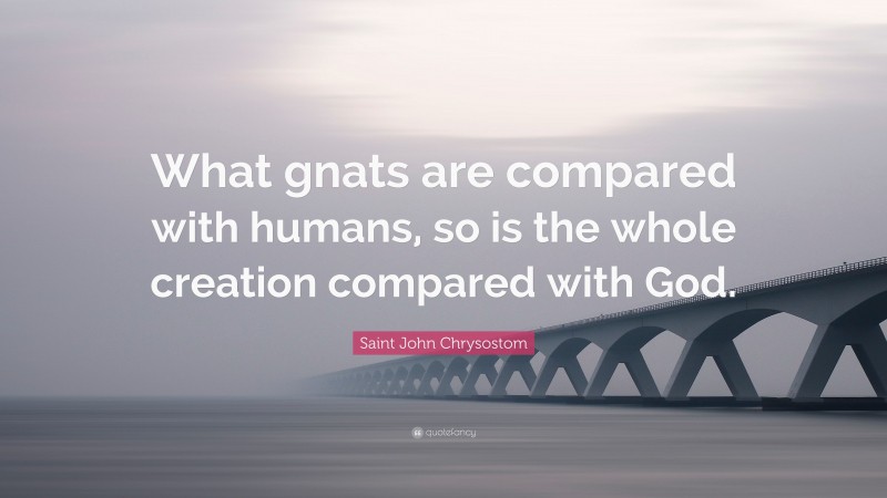 Saint John Chrysostom Quote: “What gnats are compared with humans, so is the whole creation compared with God.”