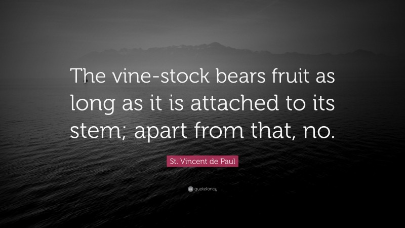 St. Vincent de Paul Quote: “The vine-stock bears fruit as long as it is attached to its stem; apart from that, no.”