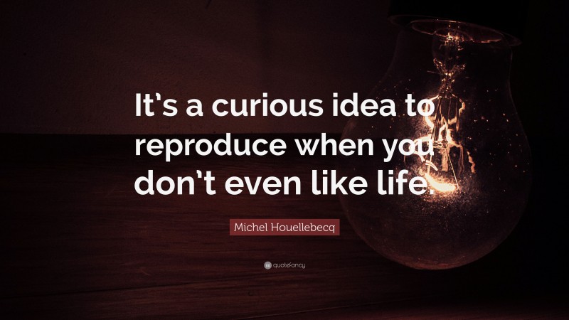 Michel Houellebecq Quote: “It’s a curious idea to reproduce when you don’t even like life.”