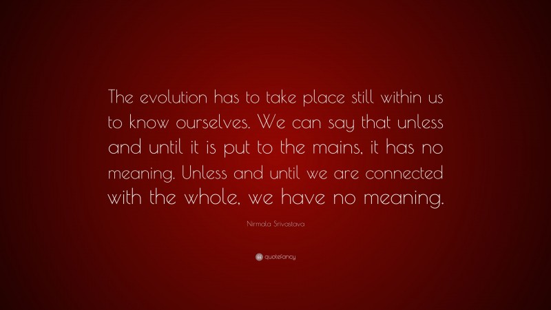 Nirmala Srivastava Quote: “The evolution has to take place still within us to know ourselves. We can say that unless and until it is put to the mains, it has no meaning. Unless and until we are connected with the whole, we have no meaning.”