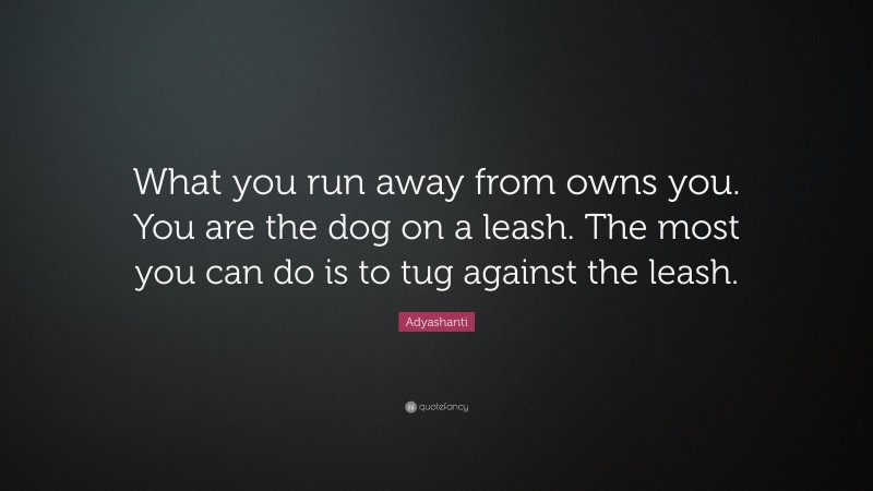 Adyashanti Quote: “What you run away from owns you. You are the dog on a leash. The most you can do is to tug against the leash.”
