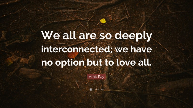 Amit Ray Quote: “We all are so deeply interconnected; we have no option but to love all.”