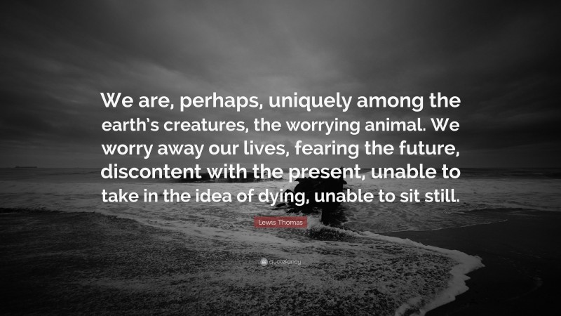 Lewis Thomas Quote: “We are, perhaps, uniquely among the earth’s creatures, the worrying animal. We worry away our lives, fearing the future, discontent with the present, unable to take in the idea of dying, unable to sit still.”