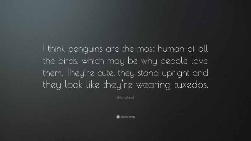 Shia LaBeouf Quote: “I think penguins are the most human of all the birds, which may be why people love them. They’re cute, they stand upright and they look like they’re wearing tuxedos.”