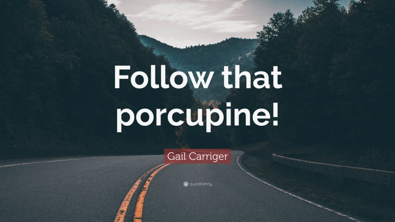 Gail Carriger Quote: “Follow that porcupine!”