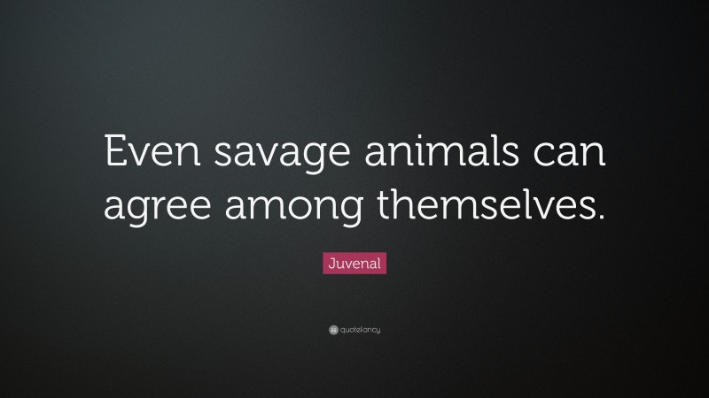Juvenal Quote: “Even savage animals can agree among themselves.”