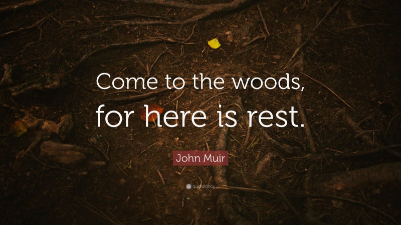 John Muir Quote: “Come to the woods, for here is rest.”