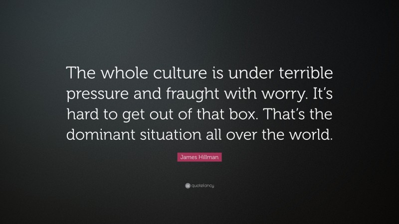 James Hillman Quote: “The whole culture is under terrible pressure and fraught with worry. It’s hard to get out of that box. That’s the dominant situation all over the world.”