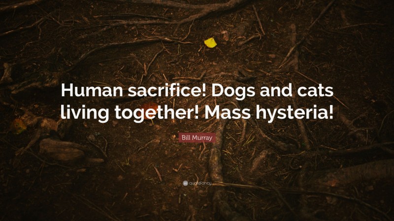 Bill Murray Quote: “Human sacrifice! Dogs and cats living together! Mass hysteria!”