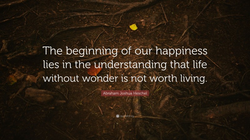 Abraham Joshua Heschel Quote: “The beginning of our happiness lies in the understanding that life without wonder is not worth living.”