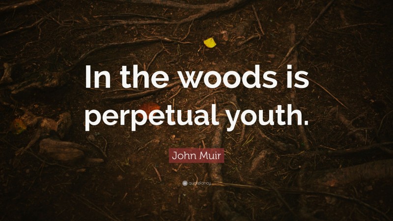 John Muir Quote: “In the woods is perpetual youth.”