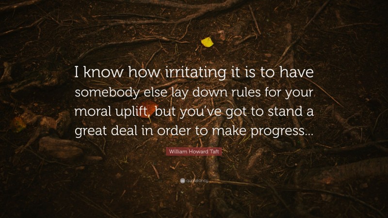 William Howard Taft Quote: “I know how irritating it is to have somebody else lay down rules for your moral uplift, but you’ve got to stand a great deal in order to make progress...”