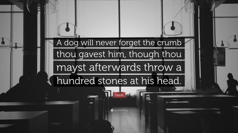 Saadi Quote: “A dog will never forget the crumb thou gavest him, though thou mayst afterwards throw a hundred stones at his head.”