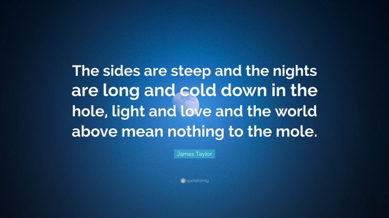 James Taylor Quote: “The sides are steep and the nights are long and cold down in the hole, light and love and the world above mean nothing to the mole.”