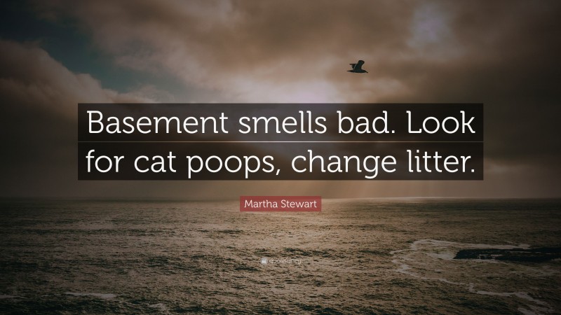 Martha Stewart Quote: “Basement smells bad. Look for cat poops, change litter.”