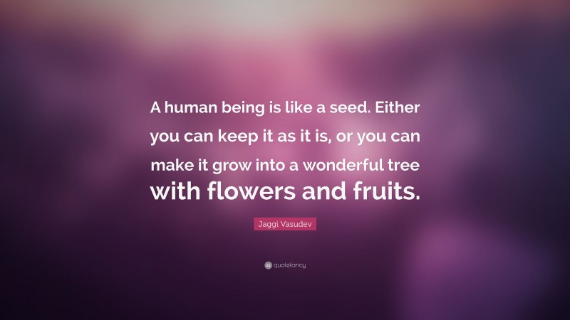 Jaggi Vasudev Quote: “A human being is like a seed. Either you can keep it as it is, or you can make it grow into a wonderful tree with flowers and fruits.”