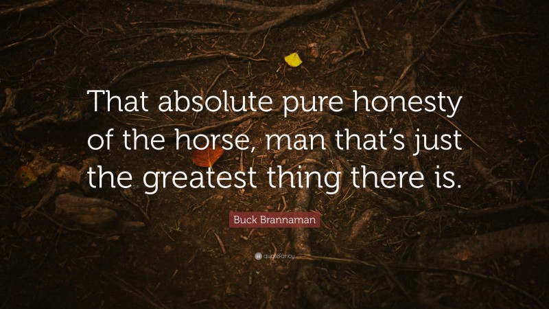 Buck Brannaman Quote: “That absolute pure honesty of the horse, man that’s just the greatest thing there is.”