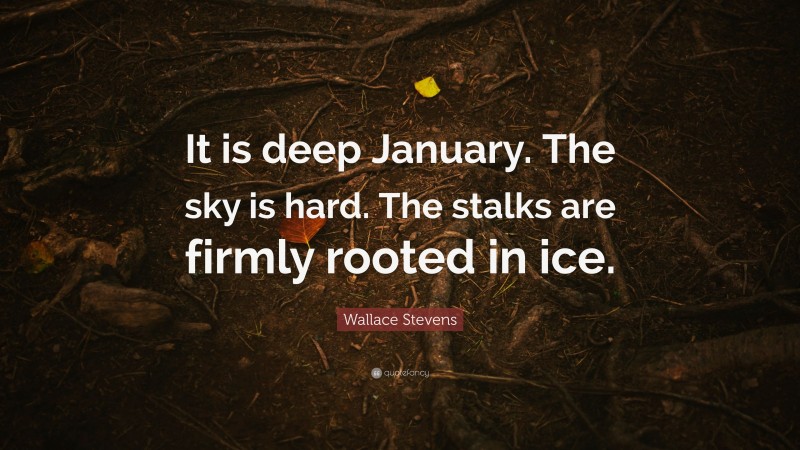 Wallace Stevens Quote: “It is deep January. The sky is hard. The stalks are firmly rooted in ice.”