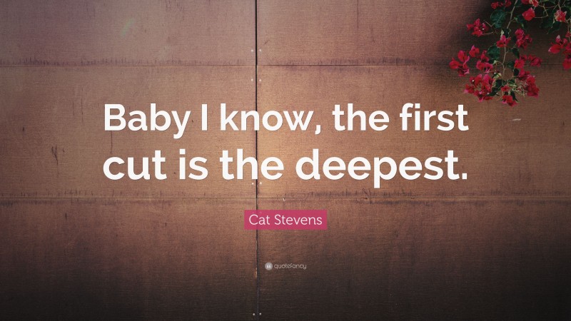 Cat Stevens Quote: “Baby I know, the first cut is the deepest.”