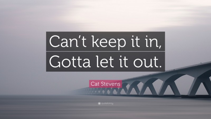 Cat Stevens Quote: “Can’t keep it in, Gotta let it out.”