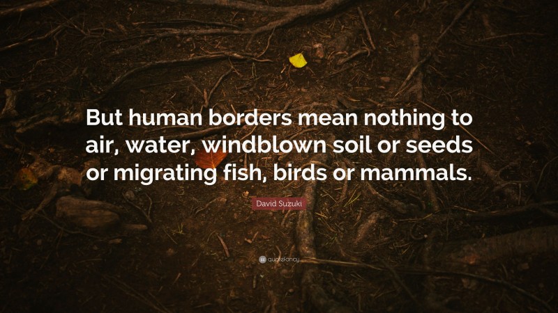 David Suzuki Quote: “But human borders mean nothing to air, water, windblown soil or seeds or migrating fish, birds or mammals.”