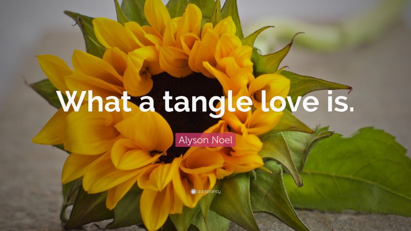Alyson Noel Quote: “What a tangle love is.”