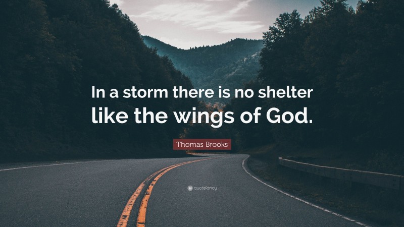 Thomas Brooks Quote: “In a storm there is no shelter like the wings of God.”