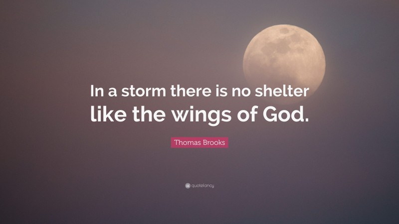Thomas Brooks Quote: “In a storm there is no shelter like the wings of God.”