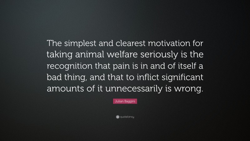 Julian Baggini Quote: “The simplest and clearest motivation for taking animal welfare seriously is the recognition that pain is in and of itself a bad thing, and that to inflict significant amounts of it unnecessarily is wrong.”