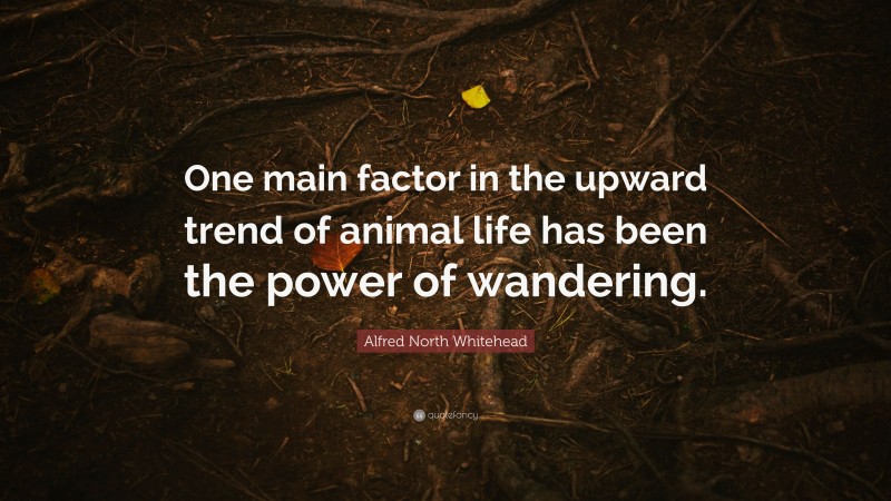 Alfred North Whitehead Quote: “One main factor in the upward trend of animal life has been the power of wandering.”