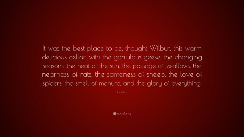 E.B. White Quote: “It was the best place to be, thought Wilbur, this warm delicious cellar, with the garrulous geese, the changing seasons, the heat of the sun, the passage of swallows, the nearness of rats, the sameness of sheep, the love of spiders, the smell of manure, and the glory of everything.”