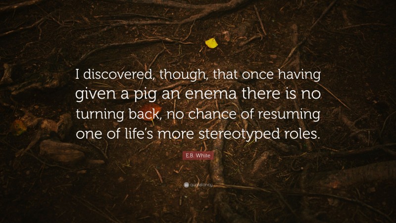 E.B. White Quote: “I discovered, though, that once having given a pig an enema there is no turning back, no chance of resuming one of life’s more stereotyped roles.”