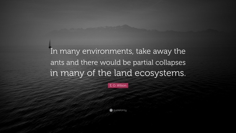 E. O. Wilson Quote: “In many environments, take away the ants and there would be partial collapses in many of the land ecosystems.”