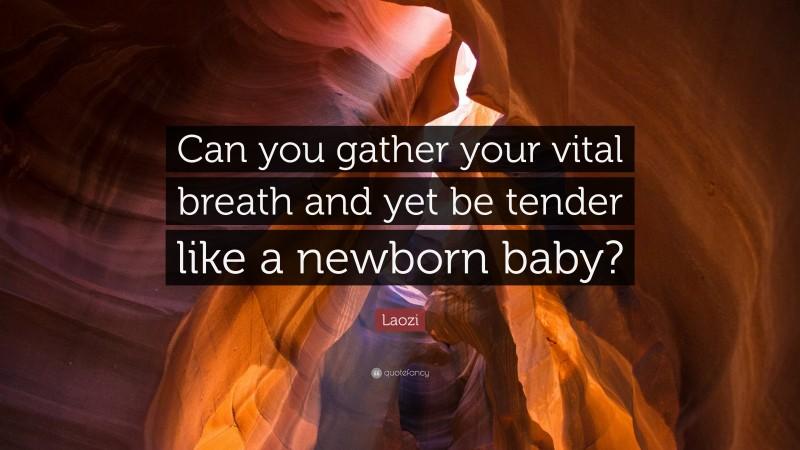 Laozi Quote: “Can you gather your vital breath and yet be tender like a newborn baby?”