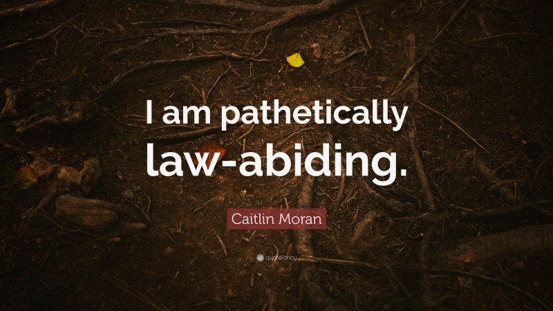 Caitlin Moran Quote: “I am pathetically law-abiding.”