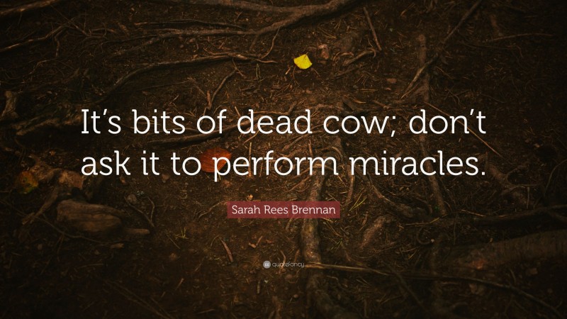 Sarah Rees Brennan Quote: “It’s bits of dead cow; don’t ask it to perform miracles.”