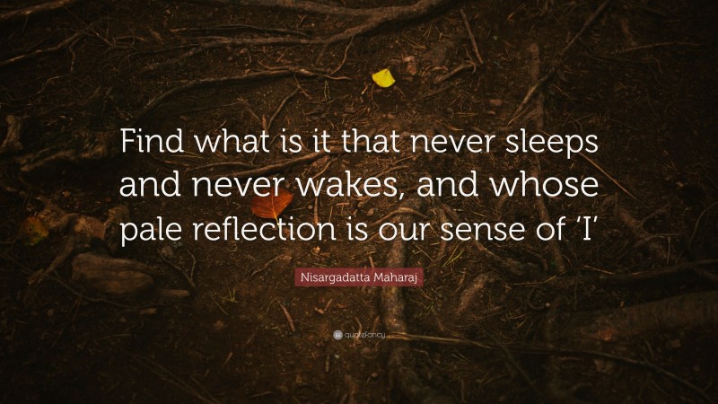 Nisargadatta Maharaj Quote: “Find what is it that never sleeps and never wakes, and whose pale reflection is our sense of ‘I’”
