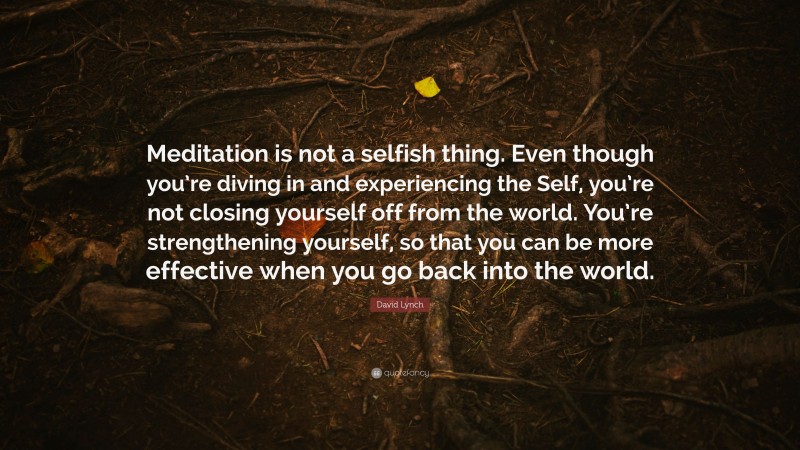 David Lynch Quote: “Meditation is not a selfish thing. Even though you’re diving in and experiencing the Self, you’re not closing yourself off from the world. You’re strengthening yourself, so that you can be more effective when you go back into the world.”