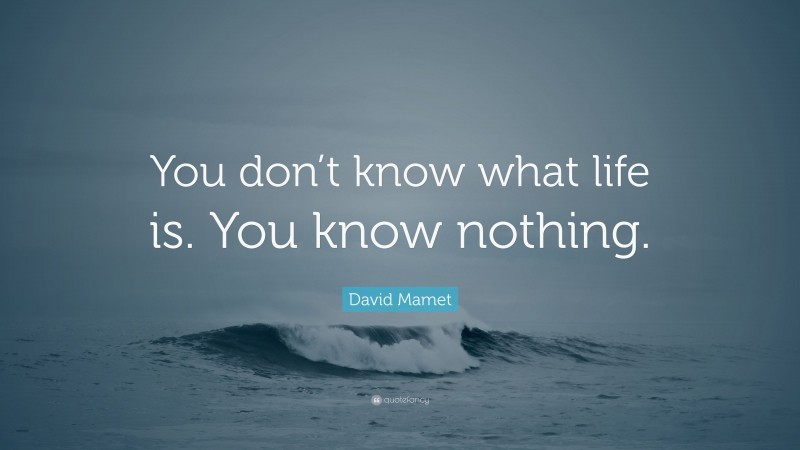 David Mamet Quote: “You don’t know what life is. You know nothing.”