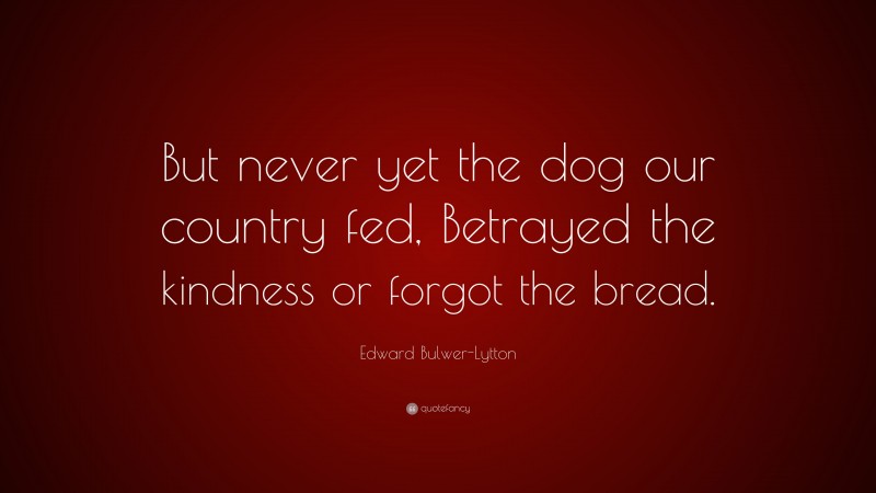 Edward Bulwer-Lytton Quote: “But never yet the dog our country fed, Betrayed the kindness or forgot the bread.”