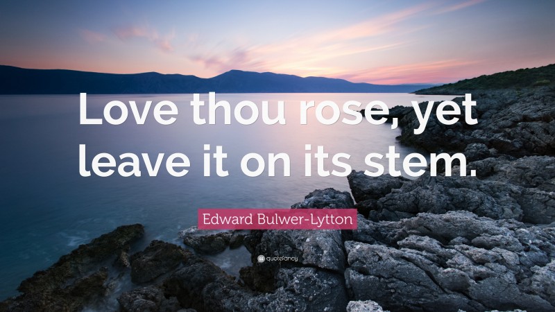 Edward Bulwer-Lytton Quote: “Love thou rose, yet leave it on its stem.”