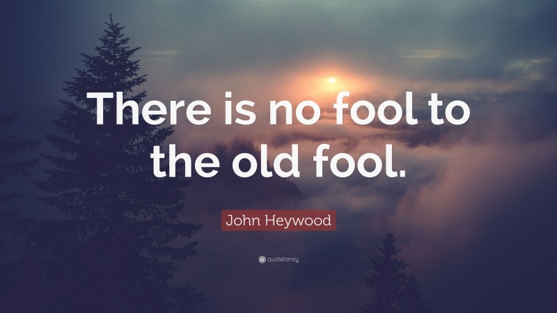 John Heywood Quote: “There is no fool to the old fool.”