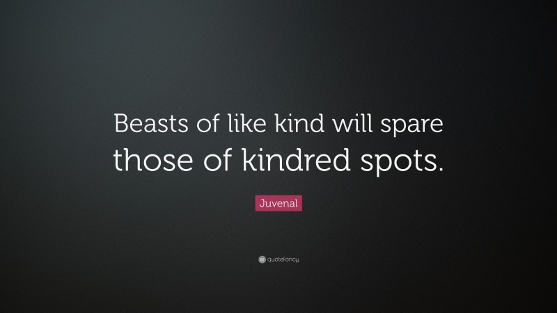 Juvenal Quote: “Beasts of like kind will spare those of kindred spots.”