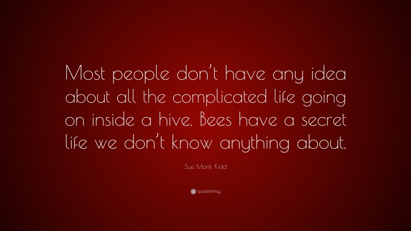 Sue Monk Kidd Quote: “Most people don’t have any idea about all the complicated life going on inside a hive. Bees have a secret life we don’t know anything about.”