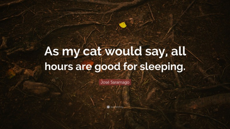 José Saramago Quote: “As my cat would say, all hours are good for sleeping.”