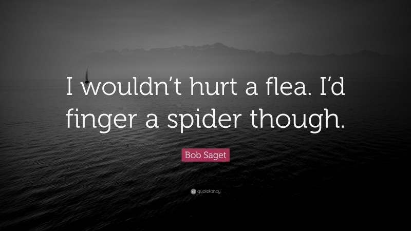 Bob Saget Quote: “I wouldn’t hurt a flea. I’d finger a spider though.”