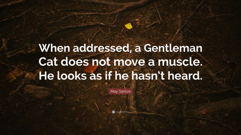 May Sarton Quote: “When addressed, a Gentleman Cat does not move a muscle. He looks as if he hasn’t heard.”