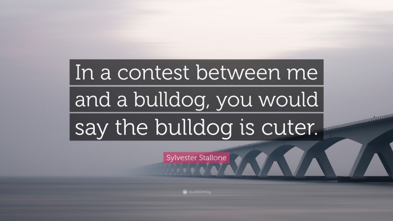 Sylvester Stallone Quote: “In a contest between me and a bulldog, you would say the bulldog is cuter.”