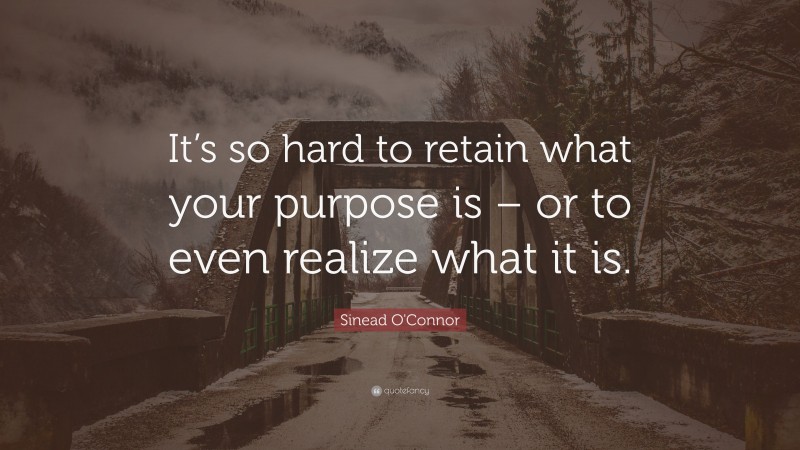Sinead O'Connor Quote: “It’s so hard to retain what your purpose is – or to even realize what it is.”