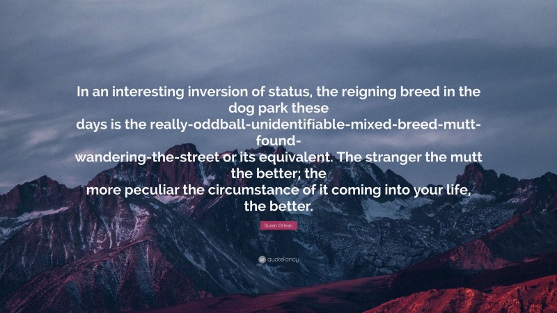 Susan Orlean Quote: “In an interesting inversion of status, the reigning breed in the dog park these days is the really-oddball-unidentifiable-mixed-breed-mutt-found-wandering-the-street or its equivalent. The stranger the mutt the better; the more peculiar the circumstance of it coming into your life, the better.”